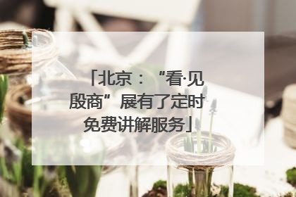北京：“看·见殷商”展有了定时免费讲解服务