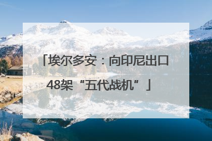 埃尔多安：向印尼出口48架“五代战机”