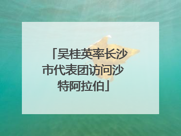 吴桂英率长沙市代表团访问沙特阿拉伯