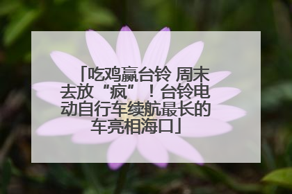 吃鸡赢台铃 周末去放“疯”！台铃电动自行车续航最长的车亮相海口
