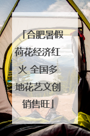 合肥暑假荷花经济红火 全国多地花艺文创销售旺