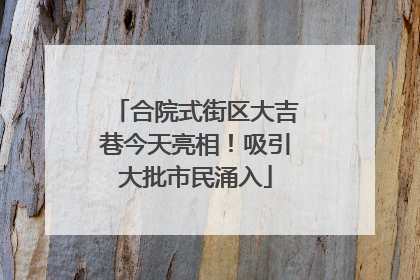 合院式街区大吉巷今天亮相！吸引大批市民涌入