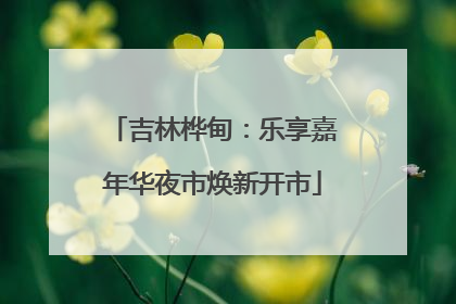 吉林桦甸：乐享嘉年华夜市焕新开市