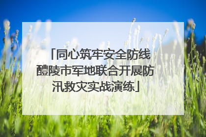 同心筑牢安全防线 醴陵市军地联合开展防汛救灾实战演练