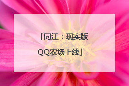 同江：现实版QQ农场上线
