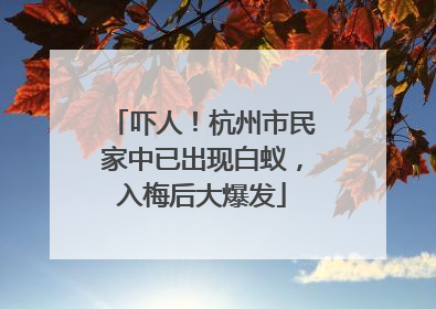 吓人！杭州市民家中已出现白蚁，入梅后大爆发