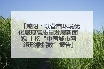 咸阳：以营商环境优化展现高质量发展新面貌 上榜“中国城市网络形象指数”报告