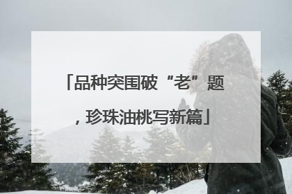 品种突围破“老”题，珍珠油桃写新篇