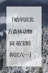 哈尔滨北方森林动物园 萌宝陪你过六一