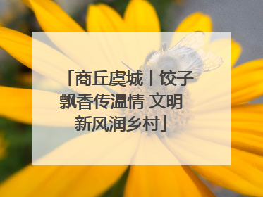 商丘虞城丨饺子飘香传温情 文明新风润乡村