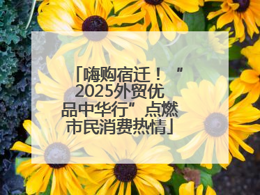 嗨购宿迁！“2025外贸优品中华行”点燃市民消费热情