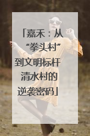 嘉禾：从“拳头村”到文明标杆 清水村的逆袭密码