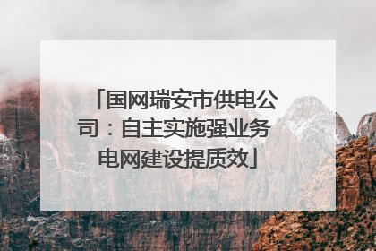 国网瑞安市供电公司：自主实施强业务 电网建设提质效