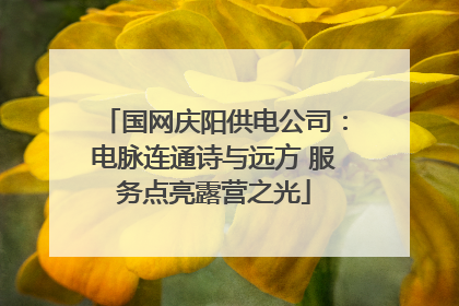 国网庆阳供电公司：电脉连通诗与远方 服务点亮露营之光