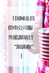 国网金昌供电公司服务能源项目“加速跑”
