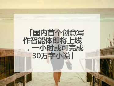 国内首个创意写作智能体即将上线，一小时或可完成30万字小说