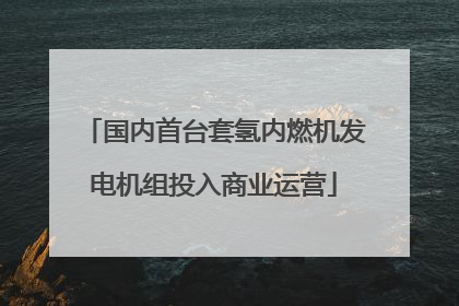 国内首台套氢内燃机发电机组投入商业运营