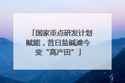 国家重点研发计划赋能，昔日盐碱滩今变“高产田”