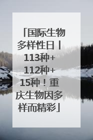 国际生物多样性日丨113种+112种+15种！重庆生物因多样而精彩