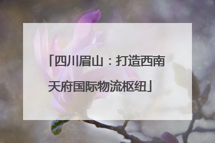 四川眉山：打造西南天府国际物流枢纽