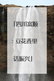 四川富顺：豆花香里话振兴