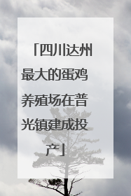四川达州最大的蛋鸡养殖场在普光镇建成投产