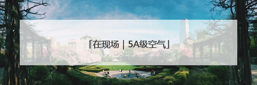 在现场｜5A级空气