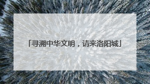 寻溯中华文明，请来洛阳城