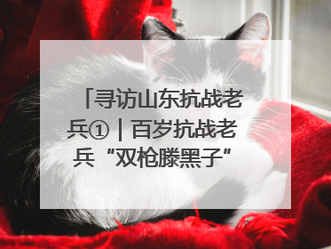 寻访山东抗战老兵①｜百岁抗战老兵“双枪滕黑子”：被粟裕称赞的“孤胆英雄”
