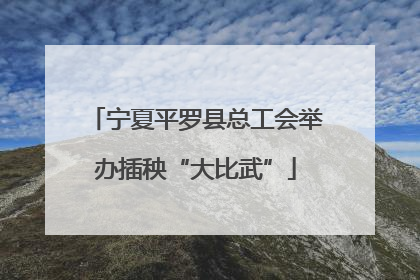 宁夏平罗县总工会举办插秧“大比武”