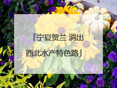 宁夏贺兰 淌出西北水产特色路
