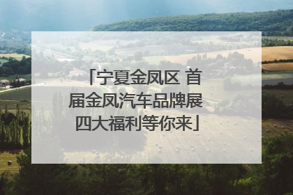 宁夏金凤区 首届金凤汽车品牌展四大福利等你来