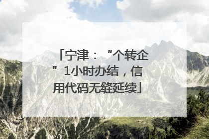 宁津：“个转企”1小时办结，信用代码无缝延续