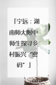 宁远：湖南师大附中师生探寻乡村振兴“密码”