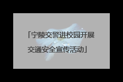 宁陵交警进校园开展交通安全宣传活动