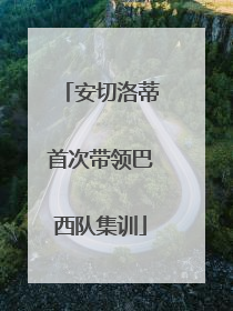 安切洛蒂首次带领巴西队集训