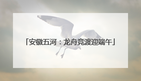 安徽五河：龙舟竞渡迎端午