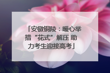 安徽铜陵：暖心举措“花式”解压 助力考生迎接高考