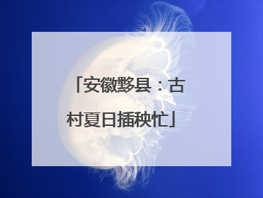 安徽黟县：古村夏日插秧忙