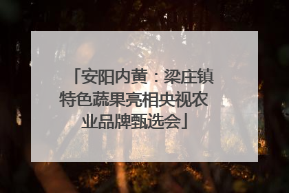 安阳内黄：梁庄镇特色蔬果亮相央视农业品牌甄选会
