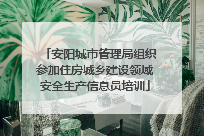 安阳城市管理局组织参加住房城乡建设领域安全生产信息员培训