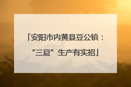 安阳市内黄县豆公镇：“三夏”生产有实招