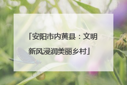 安阳市内黄县：文明新风浸润美丽乡村