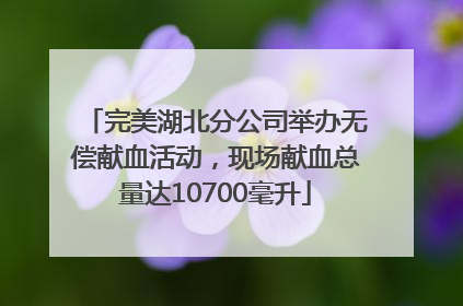 完美湖北分公司举办无偿献血活动，现场献血总量达10700毫升