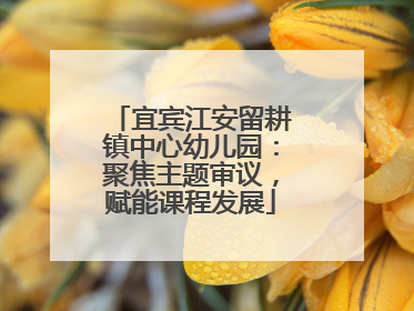 宜宾江安留耕镇中心幼儿园：聚焦主题审议，赋能课程发展