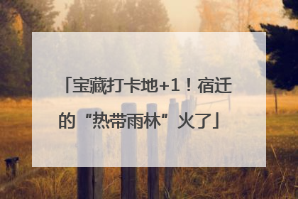 宝藏打卡地+1！宿迁的“热带雨林”火了