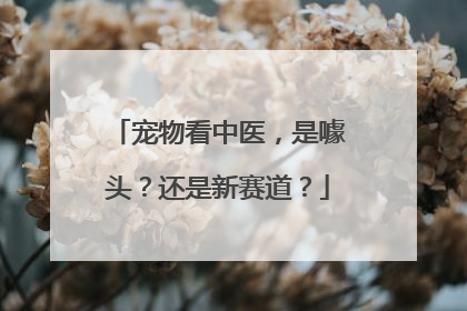 宠物看中医，是噱头？还是新赛道？