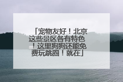 宠物友好！北京这些景区各有特色！这里狗狗还能免费玩跳圈！就在