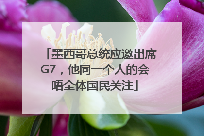 墨西哥总统应邀出席G7，他同一个人的会晤全体国民关注