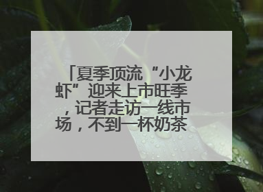 夏季顶流“小龙虾”迎来上市旺季，记者走访一线市场，不到一杯奶茶钱就能买斤虾